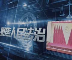 電視廣告/TVC